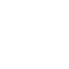 icon-1-1