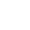 icon-2-1