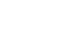 icon-2-2